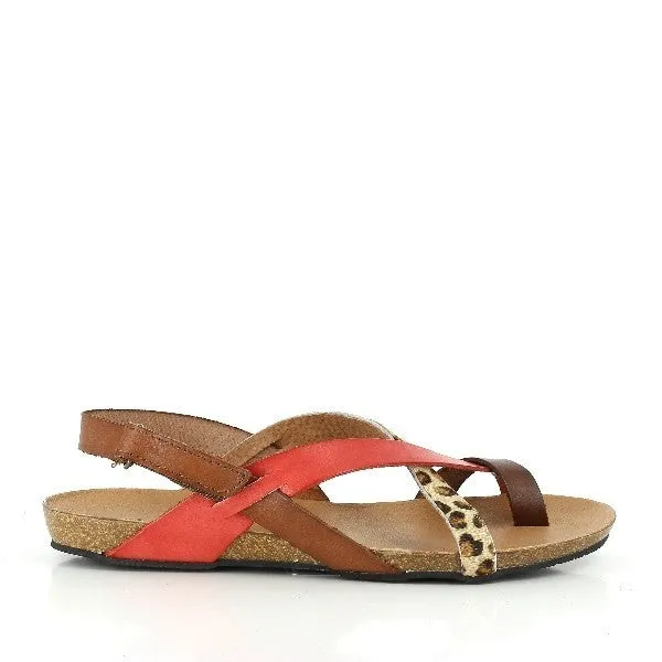 Plakton 575126 Tan & Coral Thong Sandals